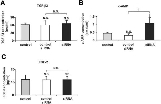 Measurement of the concentrations of TGF-β2 (A), cAMP (B), and FGF-2 (C) in the aqueous humor from Cx43 siRNA-treated and control siRNA-treated eyes at day 1 after injury and from nontreated control eyes. Mean ± SD; n = 3. †P < 0.05 compared with control or control siRNA; NS, not significant compared with control or control siRNA (Scheffé’s test).