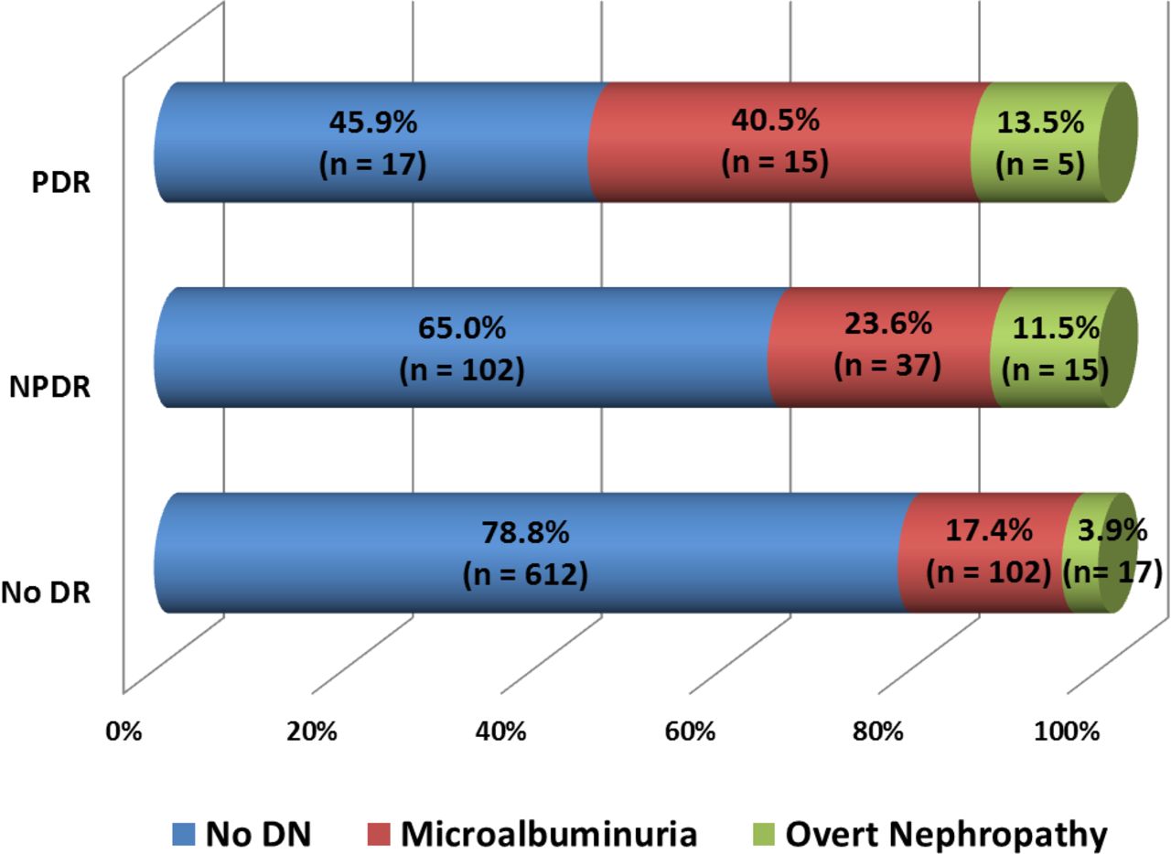 Distribution of stages of nephropathy (DN) among patients with different degrees of DR.