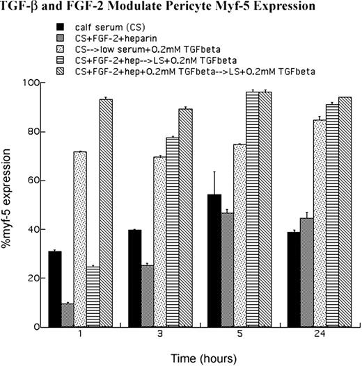 Quantitative analysis of myf-5 expression. Anti-myf-5 immunofluorescence was performed (Figs. 8 9) . After fixation and viewing, cells expressing nuclear myf-5 were digitized. Cells that possessed nuclear myf-5 were then expressed as a percentage of the total population counted. Results are from several experiments (n > 5) in which more than 100 cells were counted for each condition, plated in triplicate. Error bars denote SE. Note that FGF-2 and heparin treatment of pericytes blocked nuclear myf-5 accumulation, whereas TGF-β1 treatment induced myf-5 nuclear localization.