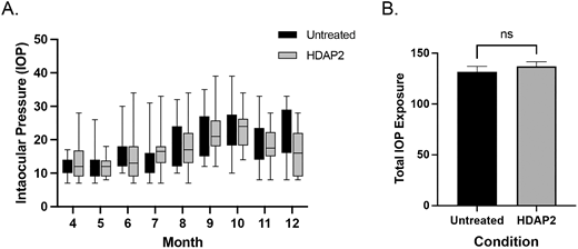 IOP in HDAP2- and control-treated DBA/2J mice. (A) IOPs measured monthly from 4 to 12 months of age. Pressures increased over time in both groups, with high interindividual variability. (B) Total IOP exposure, defined as the area under the curve representing IOP over time, was not significantly different between groups (P = 0.84, unpaired t-test).