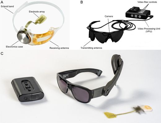 未来の人工視覚を可能にするAIモジュールを設計(Seeing the future: Michael Beyeler’s work in neurotechnology earns him top faculty award) 未来の人工視覚を可能にするAIモジュールを設計(Seeing the future: Michael Beyeler’s work in neurotechnology earns him top faculty award)